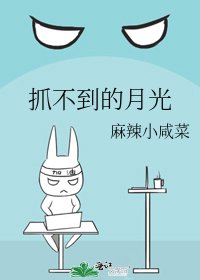 《抓不到的月光》