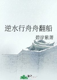 《逆水行舟舟翻船》