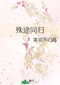 《殊途同归》