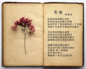 《像一记感叹号》