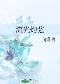 《流光灼弦》