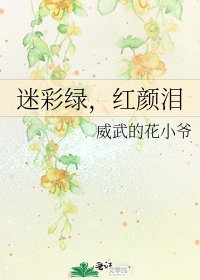 《迷彩绿,红颜泪》