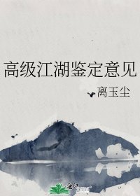 《高级江湖鉴定意见》