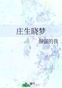 《庄生晓梦》