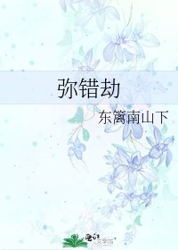 《弥错劫》