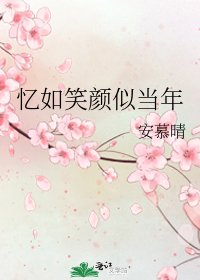 《忆如笑颜似当年》