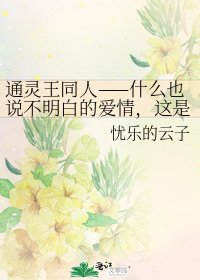 《通灵王同人——什么也说不明白的爱情,这是个幸福而又难过的生日。》