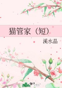猫管家（短）