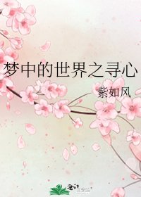 《梦中的世界之寻心》