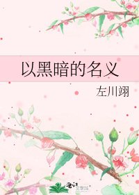 《以黑暗的名义》