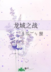 《龙域之战》