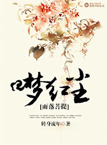 雨落菩提梦红尘