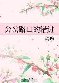 《分岔路口的错过》