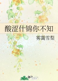 《酸涩什锦你不知》