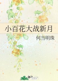 《小百花大战新月》