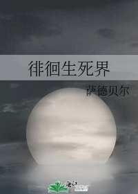 徘徊生死界