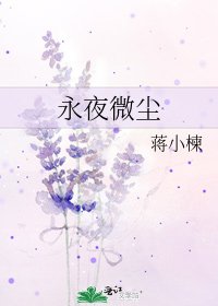 《永夜微尘》