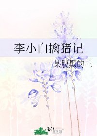 《李小白擒猪记》
