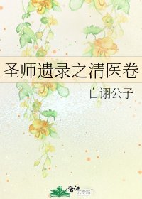 《圣师遗录之清医卷》