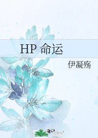 《HP 命运》