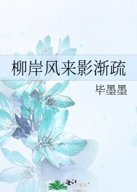 柳岸风来影渐疏
