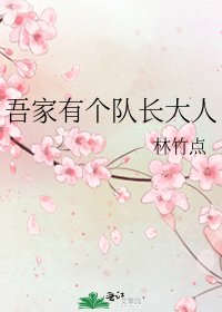 《吾家有个队长大人》