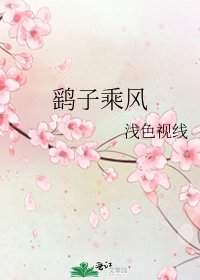 《鹞子乘风》