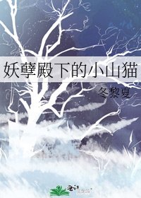 妖孽殿下的小山猫