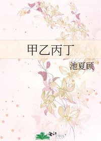 《甲乙丙丁》
