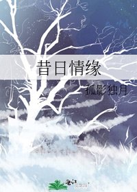 《昔日情缘》