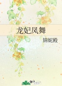 《龙妃凤舞》