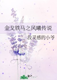 《金戈铁马之风曦传说》