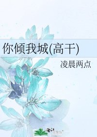 《你倾我城(高干)》