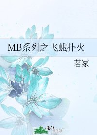 《MB系列之飞蛾扑火》