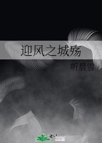 《迎风之城殇》
