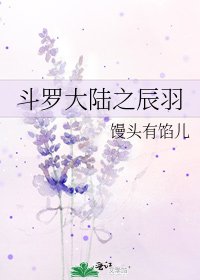 斗罗大陆之辰羽