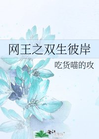 《网王之双生彼岸》