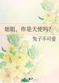 《姐姐,你是天使吗?》