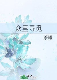 《众里寻觅》