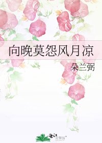 《向晚莫怨风月凉》