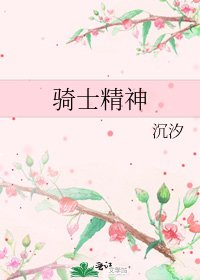 《骑士精神》