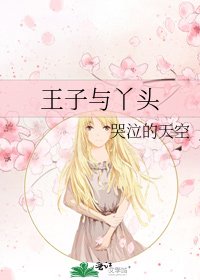 《王子与丫头》