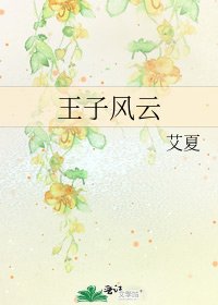 《王子风云》