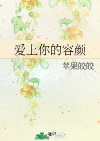 《爱上你的容颜》