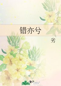 《错亦兮》