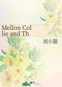 《Mellon Collie and The Infinite Sadness》