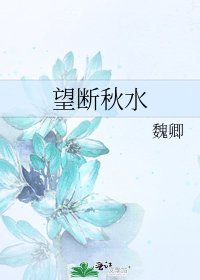 《望断秋水》