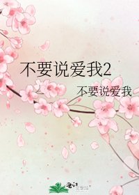 《不要说爱我2》