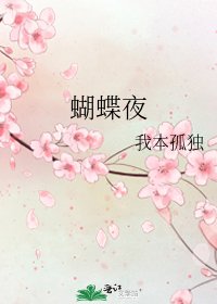 《蝴蝶夜》