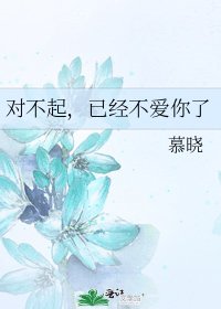 《对不起,已经不爱你了》